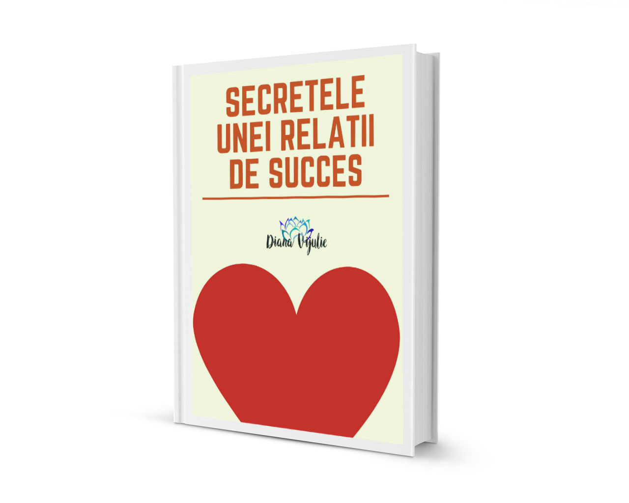 Secretele unei relatii de succes cover
